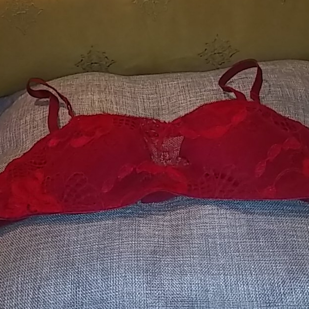 Natori Lace Bra